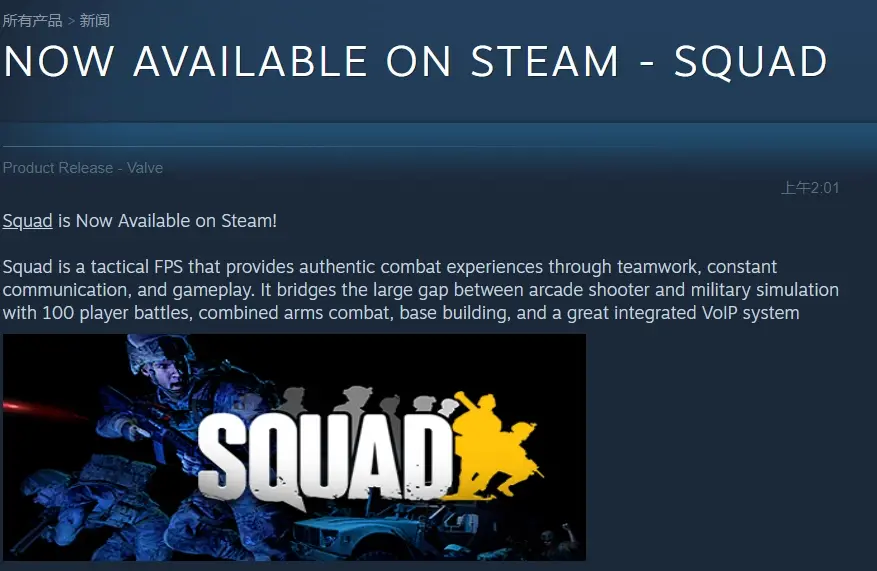 战术小队在steam叫什么（玩家评价及游戏特色介绍）