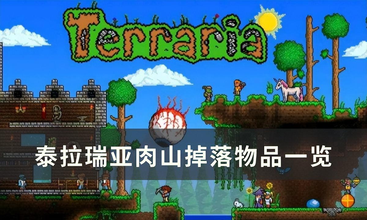 泰拉瑞亚肉山掉落物品（珍贵物品获取攻略）