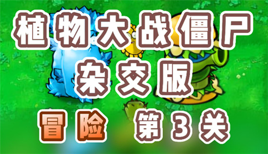 植物大战僵尸杂交版冒险3关怎么过？植物大战僵尸杂交版冒险3关攻略