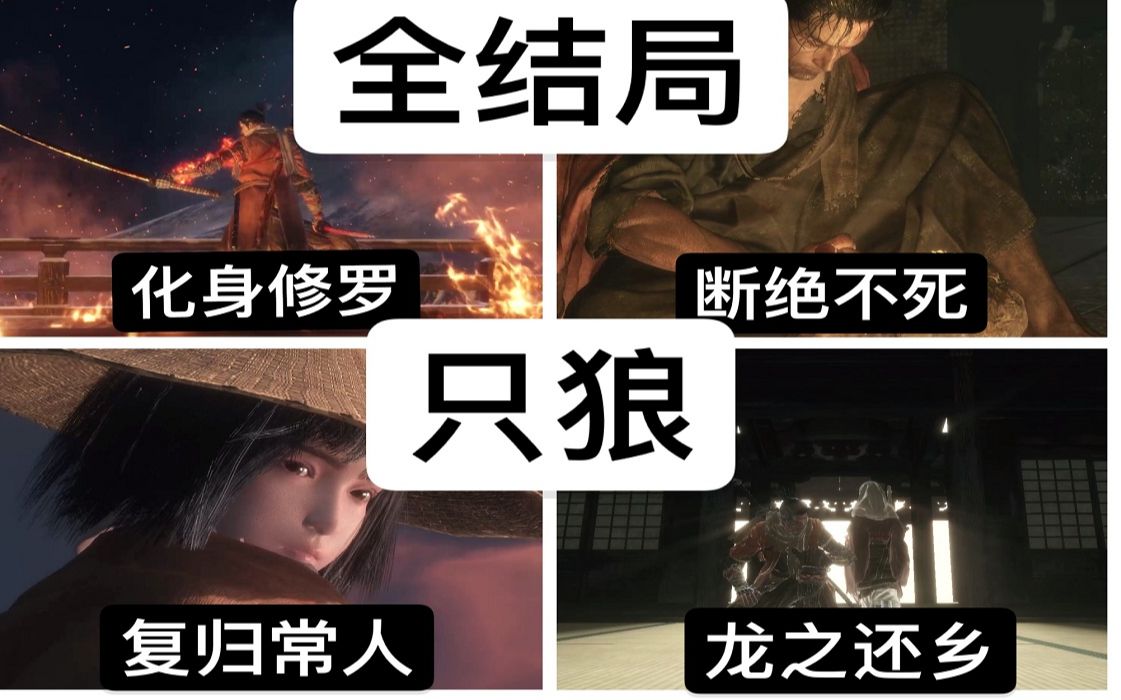 只狼完美结局达成条件（达到只狼游戏的完美结局所需的条件）
