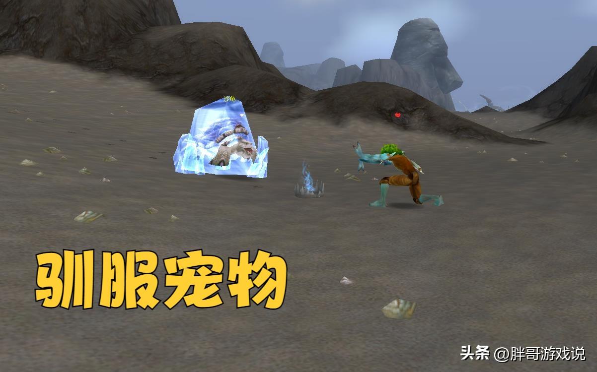 魔兽世界猎人宠物推荐（魔兽世界中适合猎人使用的宠物种类推荐）