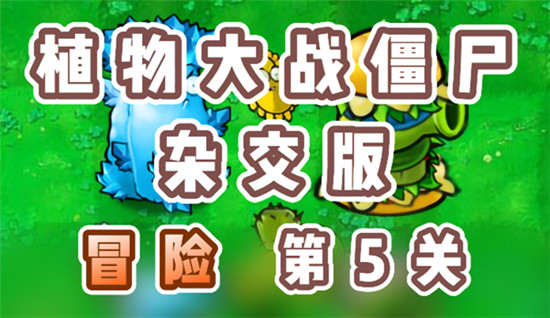 植物大战僵尸杂交版冒险5关怎么过？植物大战僵尸杂交版冒险5关攻略
