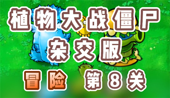 植物大战僵尸杂交版冒险8关怎么过？植物大战僵尸杂交版冒险8关攻略