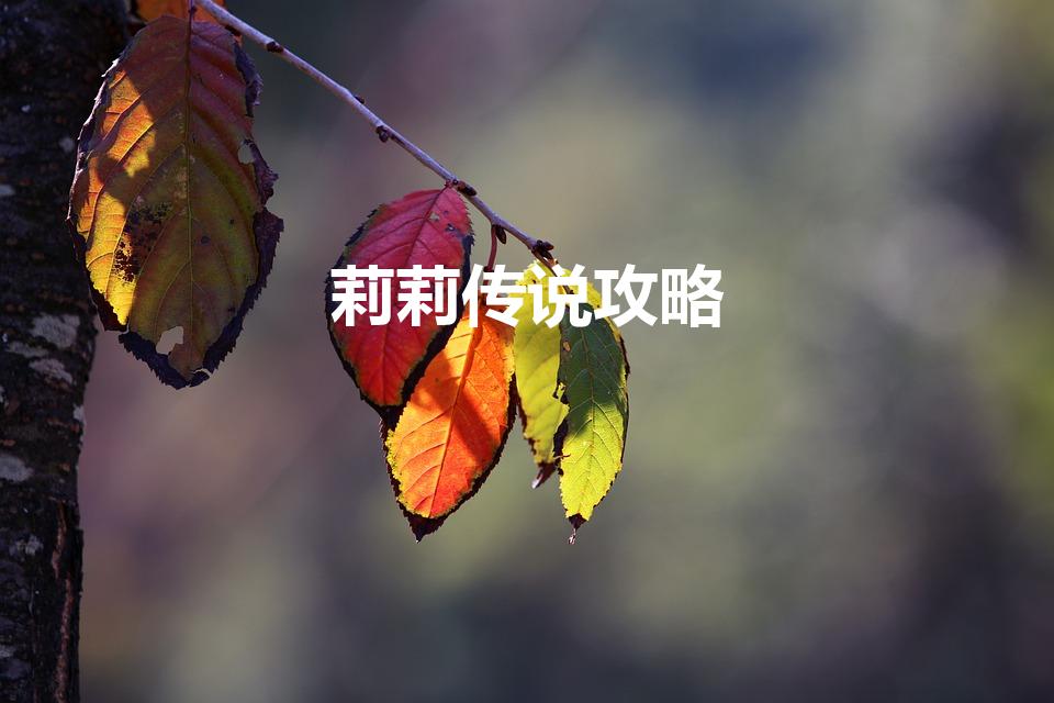 莉莉传说攻略（游戏玩法技巧分享）